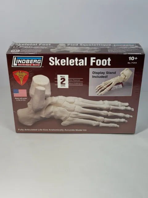 Lindberg  Science Kits Skeletal Foot No.71314