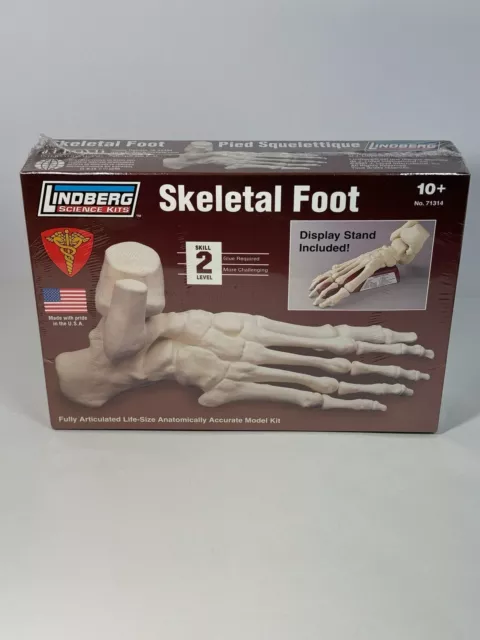 Lindberg  Science Kits Skeletal Foot No.71314