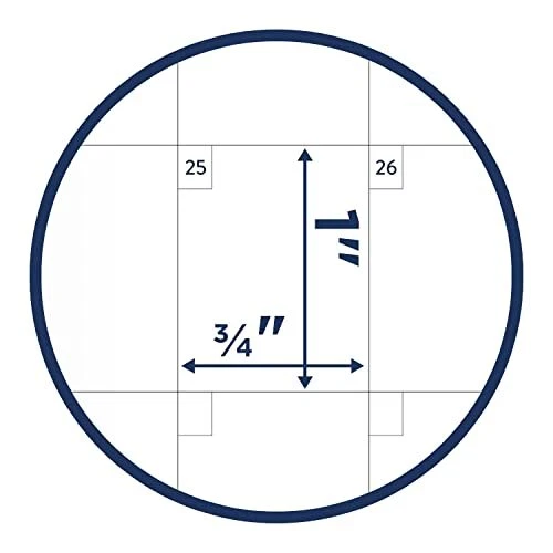 20242025 POCKET CALENDAR Simplified by Emily Ley for , 2 Year Monthly