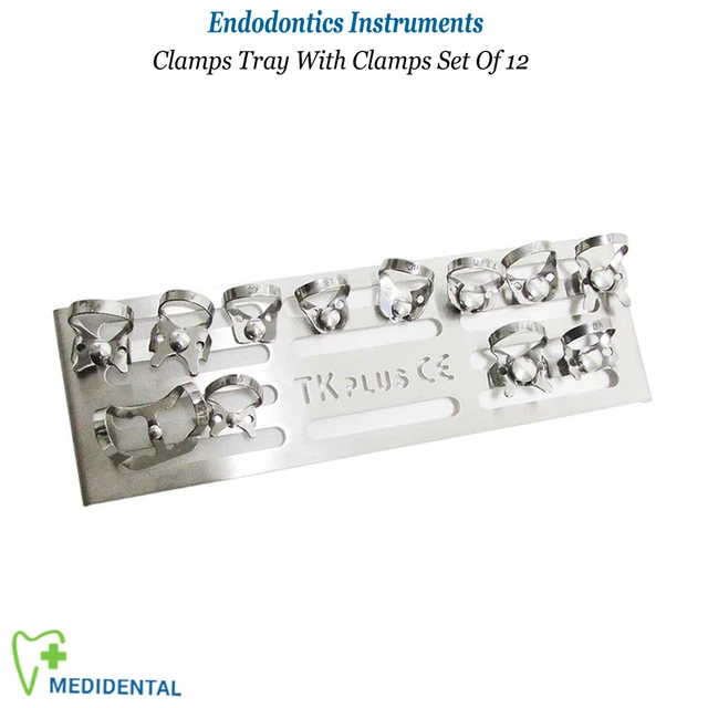 Juego de 12 Restauradora Dientes Soportes Marfil Dique Goma Pinzas con Bandeja