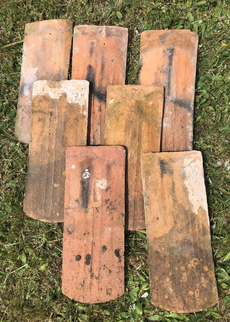 2 Biberschwanz Ziegel Dachziegel Pfanne, Platten gebraucht alt Handstrich Garten