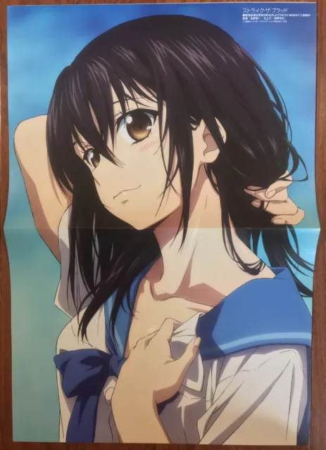 Double Sided Anime Poster: Strike the Blood, Is the Order a Rabbit