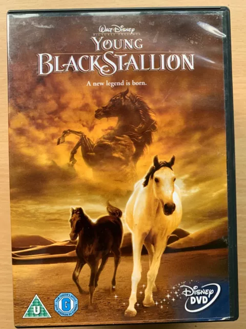 The Young Black Stallion DVD 2003 Walt Disney Live Action Horse Equestrian Drama