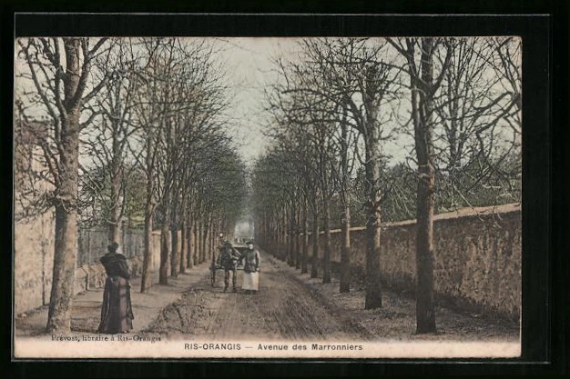 CPA Ris-Orangis, Route Forestière de Soisy 1912