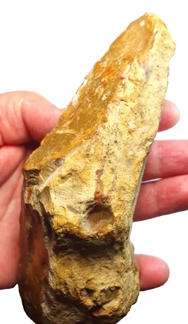 Rare Prehistoric UK Mesolithic Flint Tranchet Axe 'Thames pick' Hassocks Type