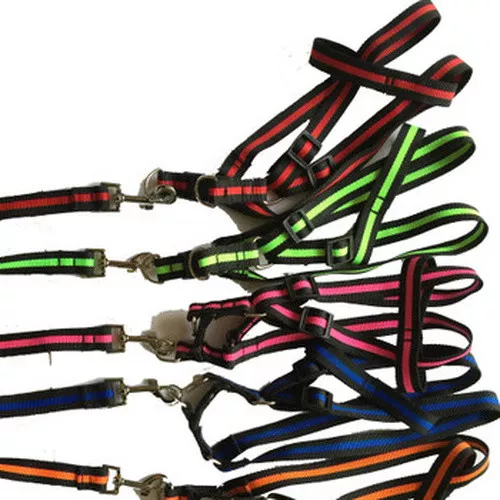 Bungee Dog Harness Leash Collars Nylon Vest & Leashes Running Rope