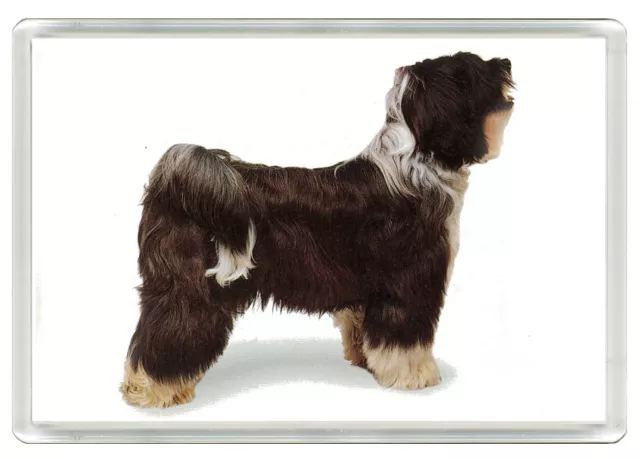 Tibetan Terrier Dog Art Print Novelty Acrylic Fridge Magnet Great Gift