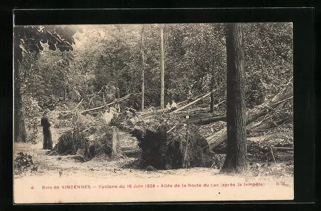 CPA Le Bois de Vincennes, apres le Cyclone 1908 - Allee de la Route du Lac, Unw