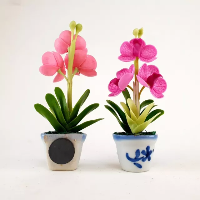 1:12 Scale Dollhouse Miniature Vanda Orchid Flower Clay in Ceramic Pot Handmade 2