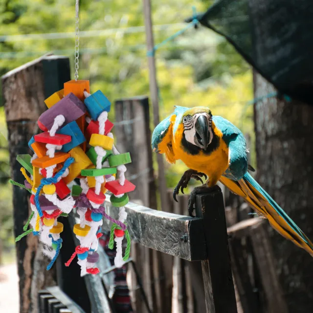 1pc Papagei Schaukel Spielzeug Vogel Kauen Blöcke Vogel Holz Kauen Spielzeug