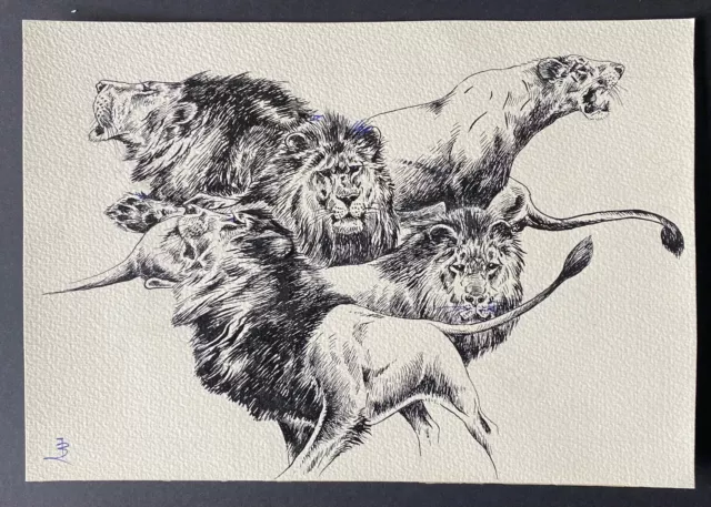 „Löwen Studie“ Tusche von Johannes  Breitmeier“ Tiermaler selten