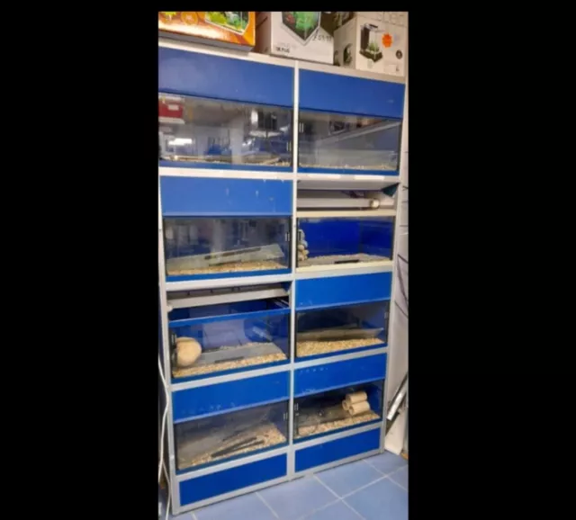fish tank racking and tanks 