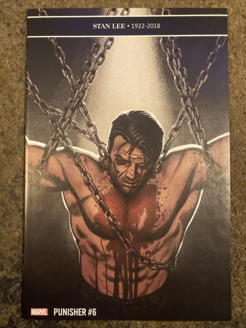 The Punisher #6-10 2019 NM High Grade And Unread. Smallwood/Rosenberg/Fabela
