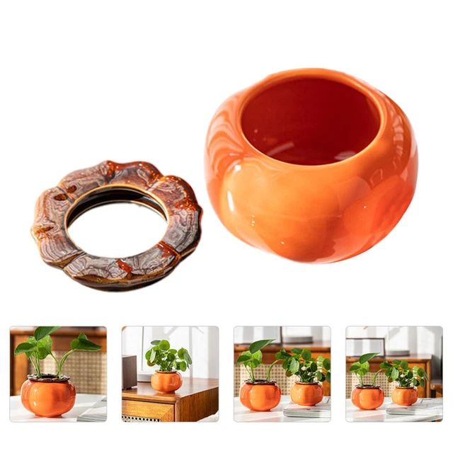 1Pc Sukkulenten Halter Keramik Pflanzer Porzellan Blumentopf