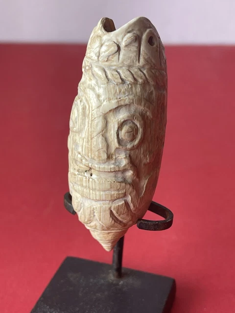 Ancient Precolumbian Mayan Olmec     Mezcala Seashell