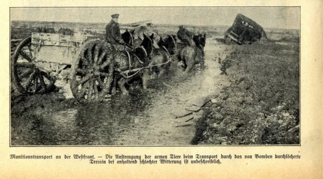 Munitionstransport auf dem Schlachtfeld an der Westfront von 1918