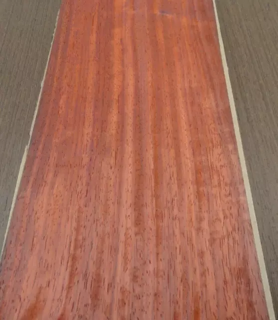 Padauk Quarter Cut wood veneer 5" x 92" raw no backing 1/42" thickness