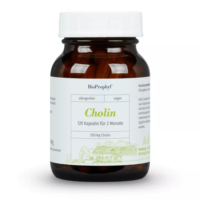 BioProphyl Cholin | 250 mg Cholin aus VitaCholine® | 120 Kapseln hochdosiert