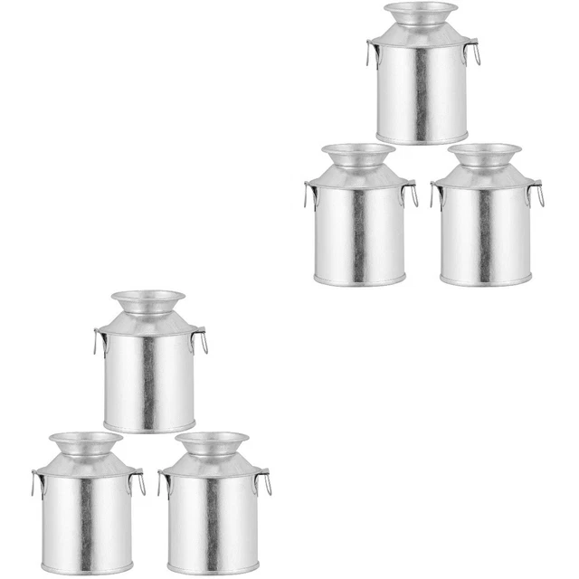 6 Pcs Metal Flower Bucket Country Pitcher Vase Tin Vase Botanical Decor Jug