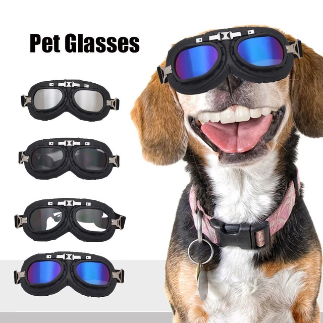 Gafas de sol ajustables para vestir gafas de sol gafas de perro protección para ojos de mascota
