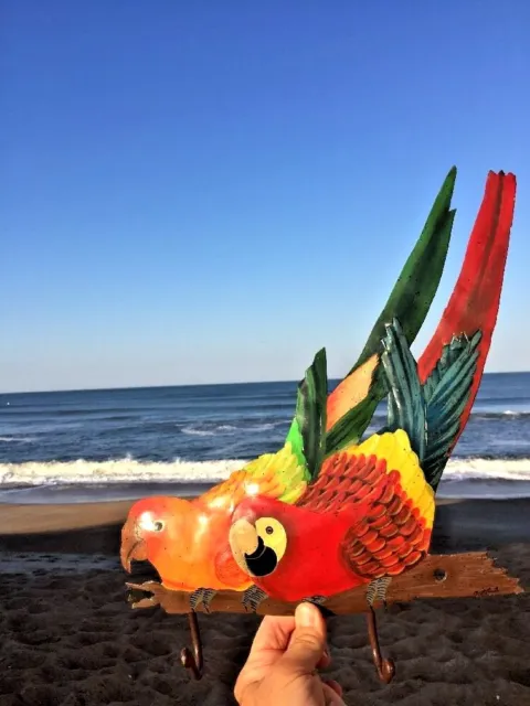 UNIQUE HAND Painted Metal Jimmy Buffett PARROT 5 o'clock somewhere Rare 15x13