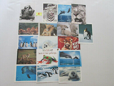 Set 17 cartoline animali misti  cm 10 x 15 da collezione da scegliere il set