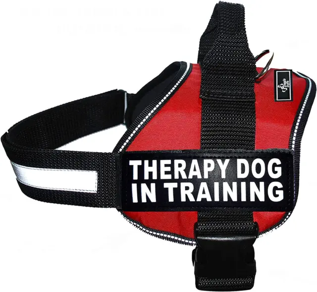 Therapy Dog in Training Nylon Dog Vest Harness. Purchase Comes with 2 Reflective