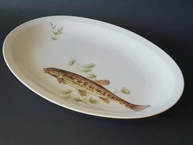 🍛 ancien plat service ovale en porcelaine a décor de poisson