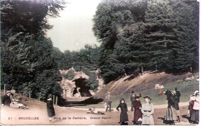 Carte postale, BRUXELLES, Bois de la Cambre, Grand ravin, non écrite au revers.