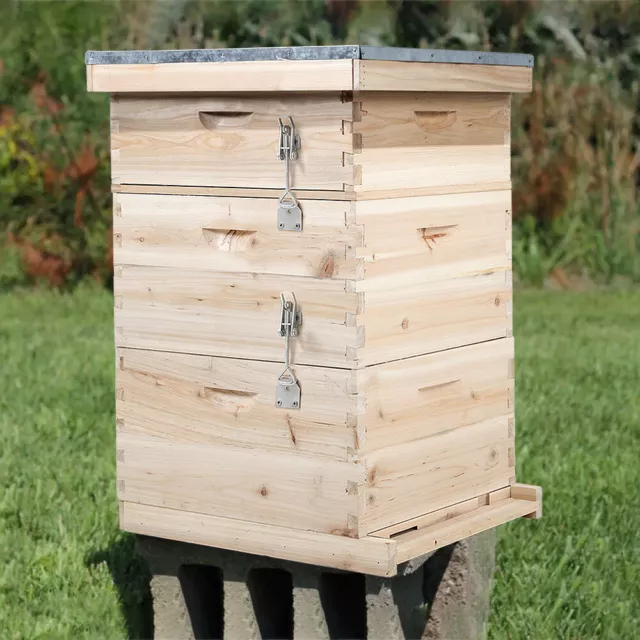 3 Tiers Langstroth Beehive Box Wooden Hive Frames Beekeeping Honey Brood Box