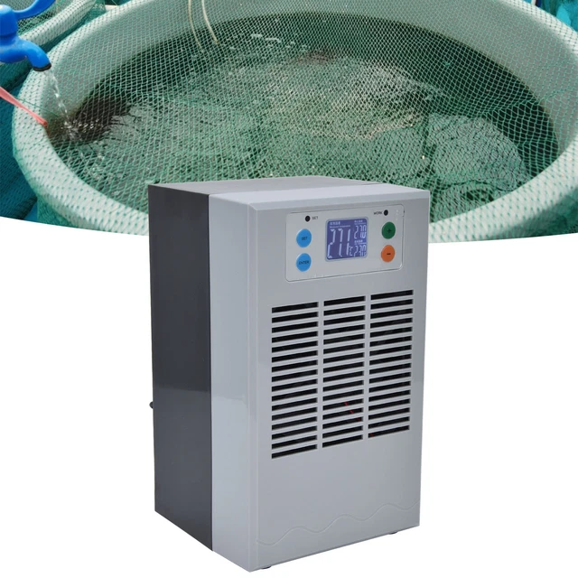 Umdfcatore Per Sgar DGTAL - YouTube