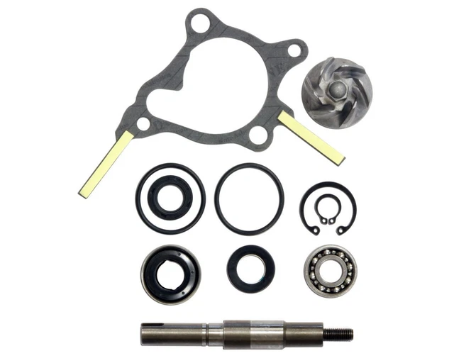 Kit Pompe à Essence Facet SILVER TOP