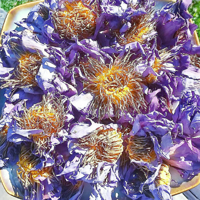 Egyptian Blue Lotus - Organic Dried Flowers - Nymphaea caerulea CHOOSE 0.5-4 oz