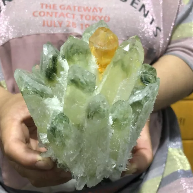 1040G New Find Green Phantom Quartz Crystal Cluster Mineral Specimen Healing