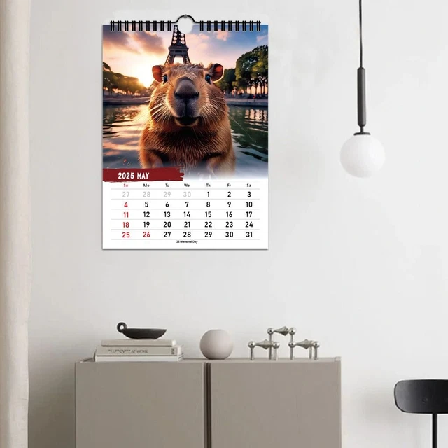 JOURNEY OF THE Capybara 2025 Calendar 2025 Capybara Calendar Office 16.72 PicClick CA