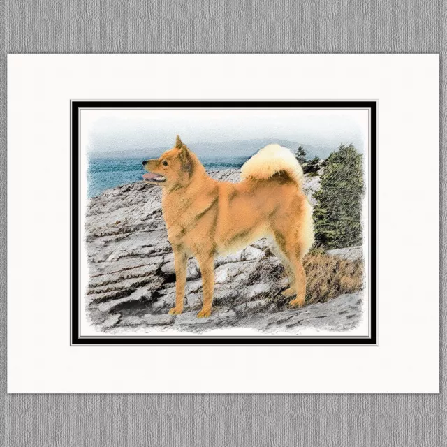 Finnish Spitz Original Art Print 8x10 Matted to 11x14 Finnish Spitz Original Art Print 8x10 Matted to 11x14