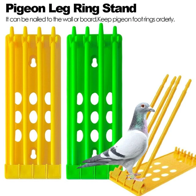 de jambe de pigeon Étagère d'anneau Support d'anneau de pied Rack de bande
