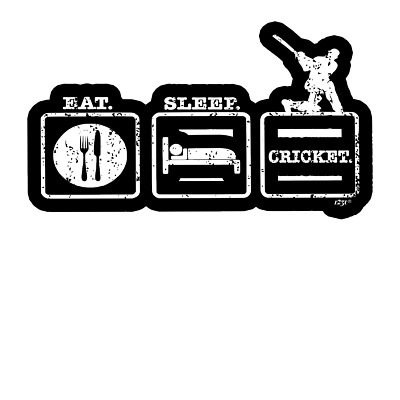 2 x Car Stickers - eat sleep cricket Decal Window Bumper Truck Laptop Sticker
