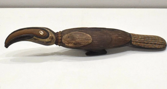 Papua New Guinea Wood Subut Bird Keram River