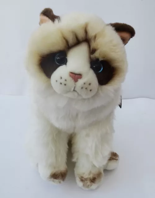 Ragdoll Cat 12" Hand Made Plush Toy Cat Available Personalised & Gift Wrapped