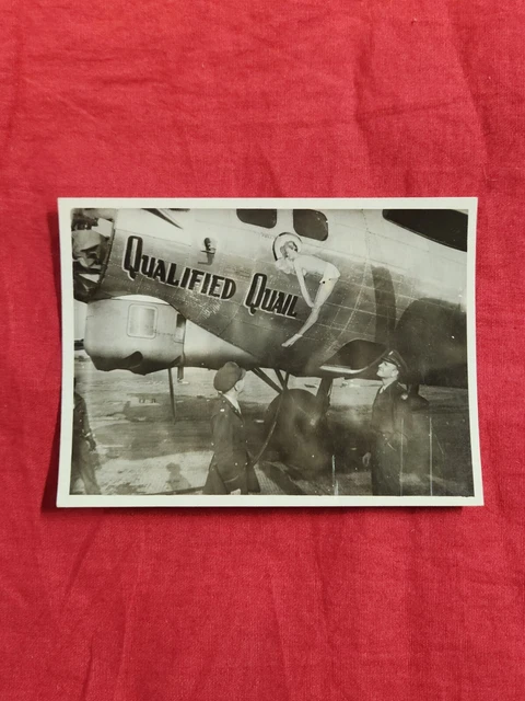 ORIGINAL PHOTO B 17 Bomber nose art QUALIFIED QUAIL 401st BS 91st Group ORIGINAL PHOTO B 17 Bomber nose art QUALIFIED QUAIL 401st BS 91st Group