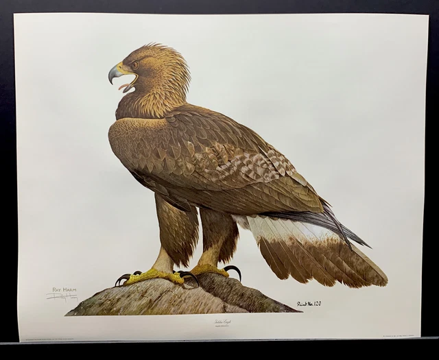 Ray Harm Limited Edition Signed Print “Golden Eagle” Ray Harm Limited Edition Signed Print “Golden Eagle”