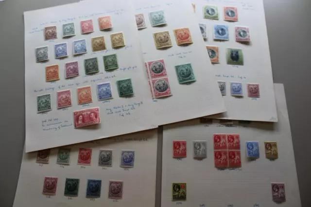 BARBADOS Fine Fresh MINT KGV Stamp Collection Identified Ranges to 3s