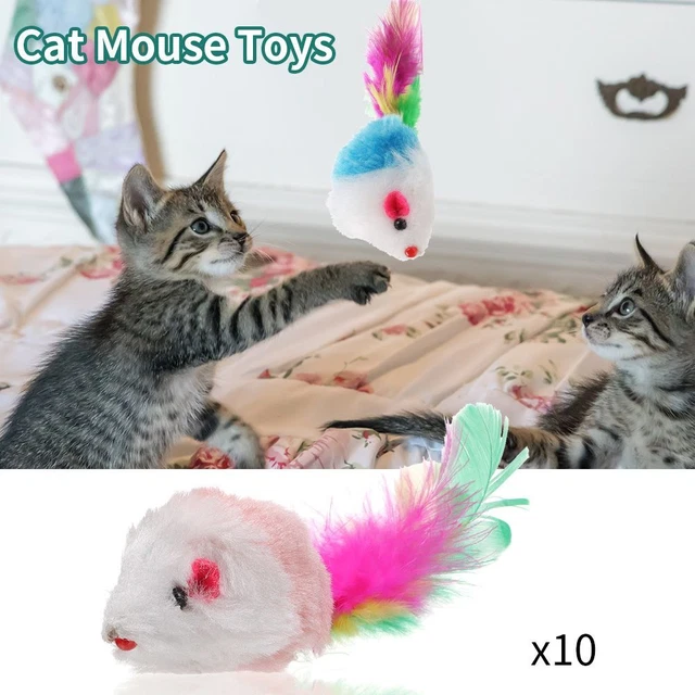 Catnip Gift Interactive Cat Toy Cat Mouse Toys Mice Rattle Set Kittens