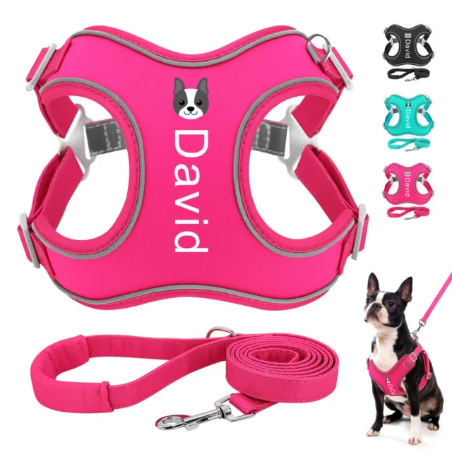 No Pull Dog Harness and Leash set Personalised Pet Cat Puppy Name Printed Vest