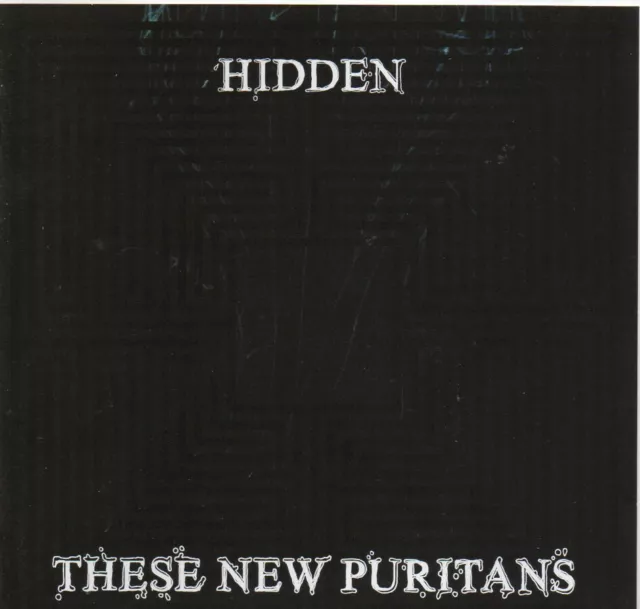 These New Puritans  HIDDEN   cd
