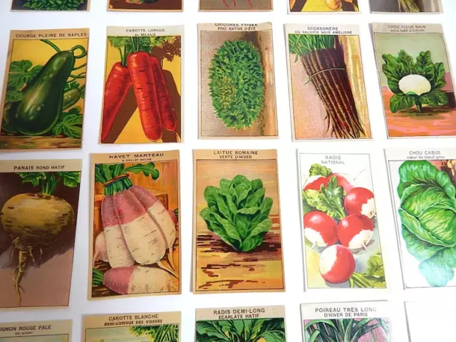 20 More Vintage French Vegetable Seed Packet Labels 1920-30s Not Reprints 2