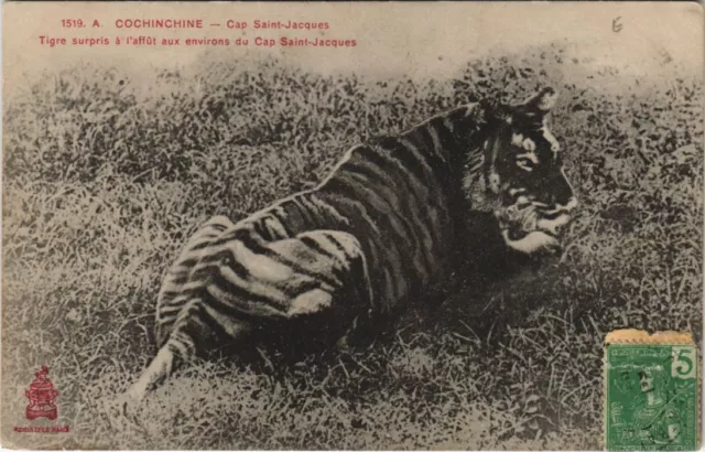 CPA AK VIETNAM CAP-SAINT-JACQUES Environs - Tiger INDOCHINA (1221619)