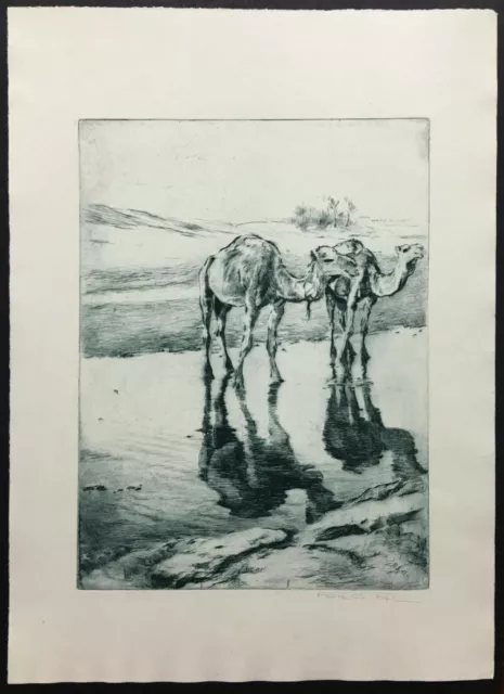 RARE Etching ~ CAMELS, SAHARA DESERT ~ c.1925 Pencil Signed Early FRIED PAL