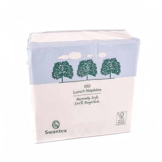 Dinner Napkins Swantex 2Ply Recycled White  X125